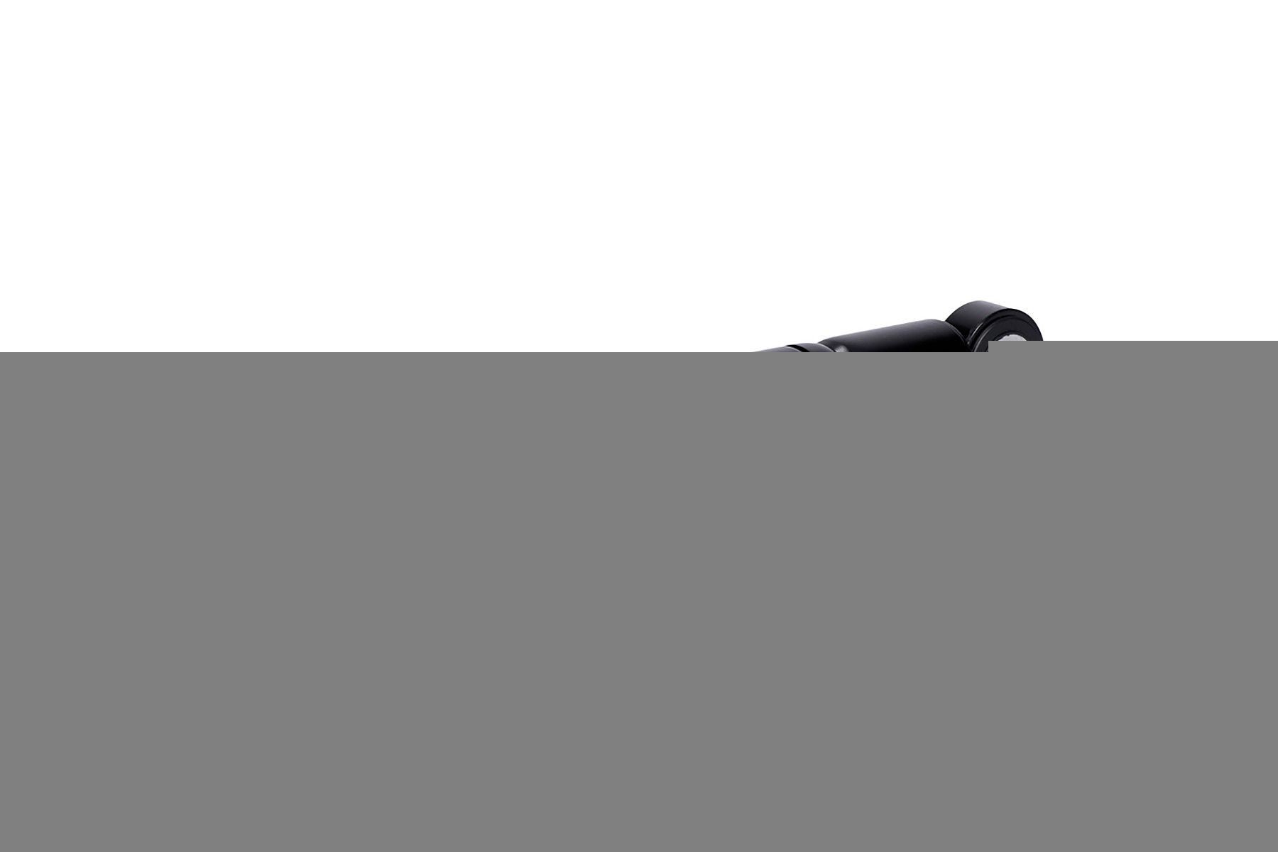 INA 533 0100 10 Vibration Damper, v-ribbed belt C-Class C 250 (204.252) 204 PS Petrol 2014