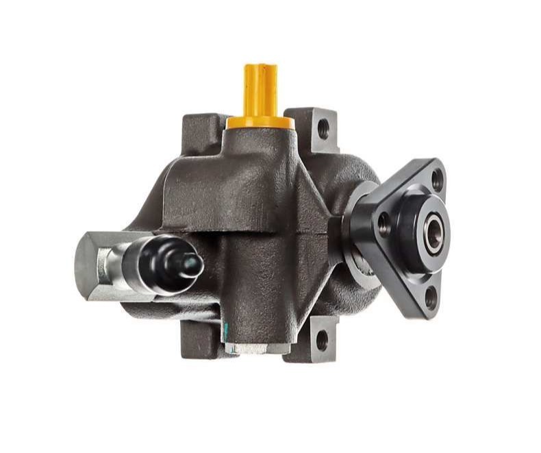 DP GROUP Power steering pump Article number: SS 1139 cheaply