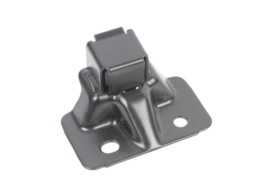ABAKUS 137-02-055 Guide, locking knob KANGOO 1.5 dCi 85 (FW0K, FW0L, FW0B) 86 PS Diesel
