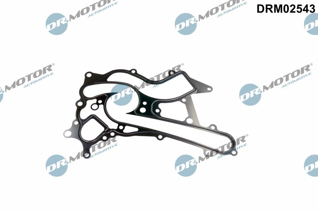 DR.MOTOR AUTOMOTIVE Gasket, water pump Article number: DRM02543 cheaply