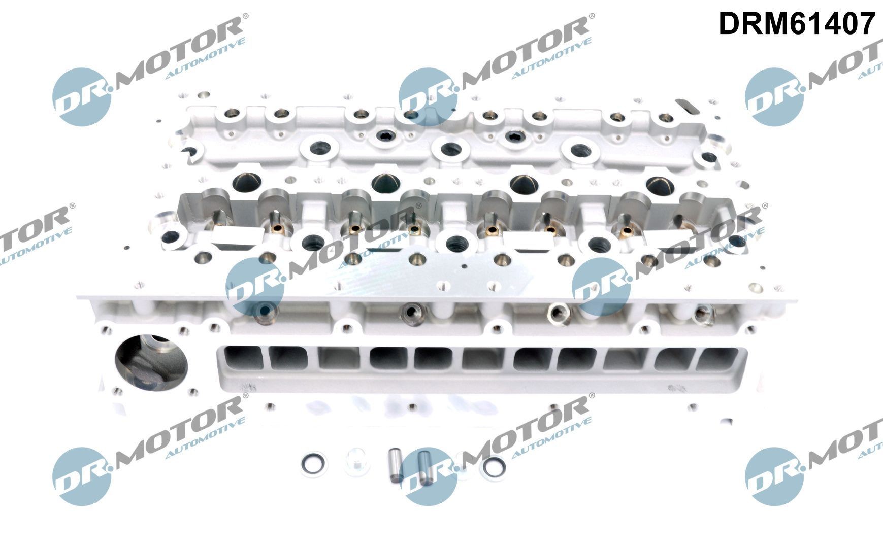 DR.MOTOR AUTOMOTIVE Cylinder Head Article number: DRM61407 cheaply