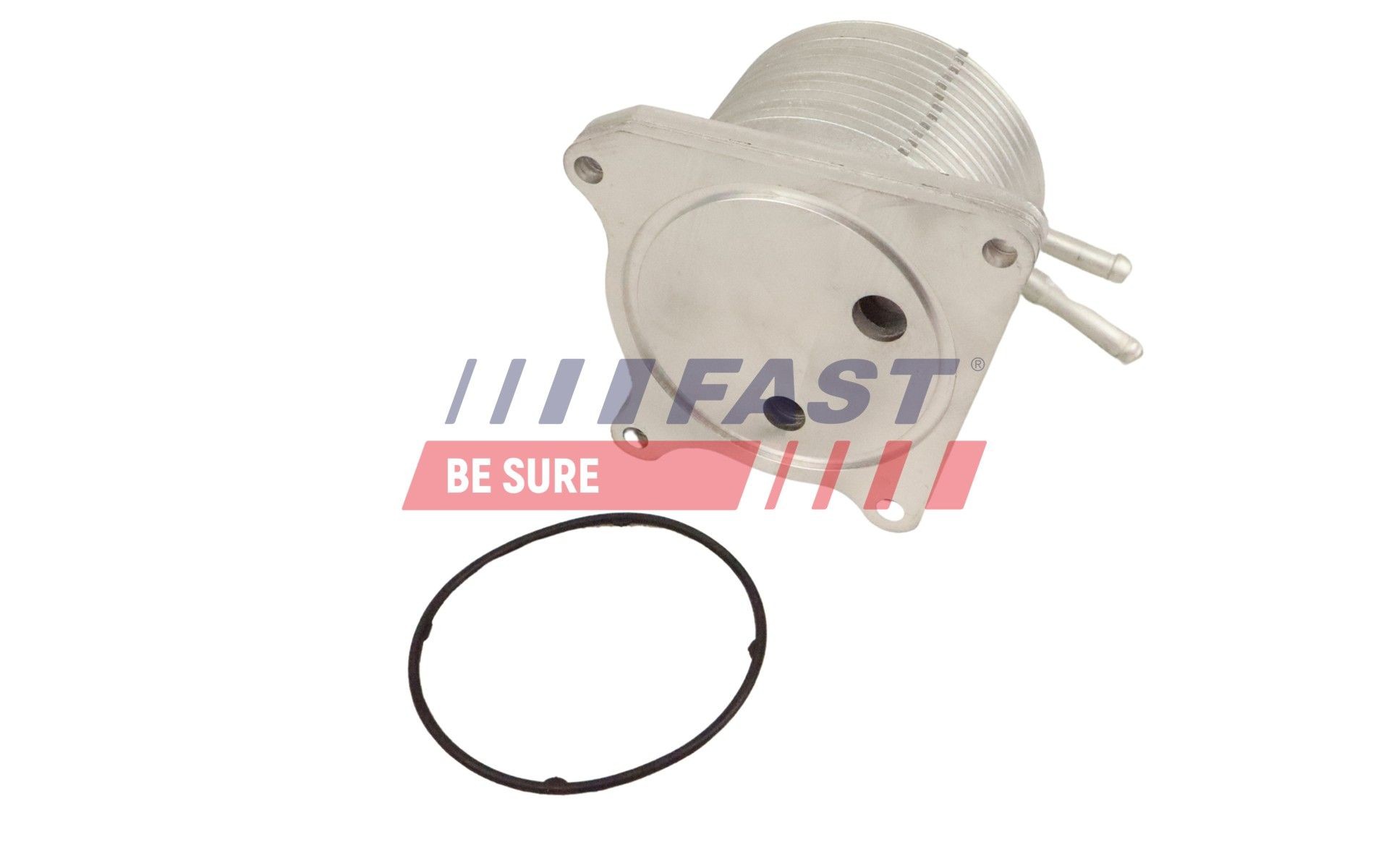 FAST Engine oil cooler Article number: FT01016 cheaply