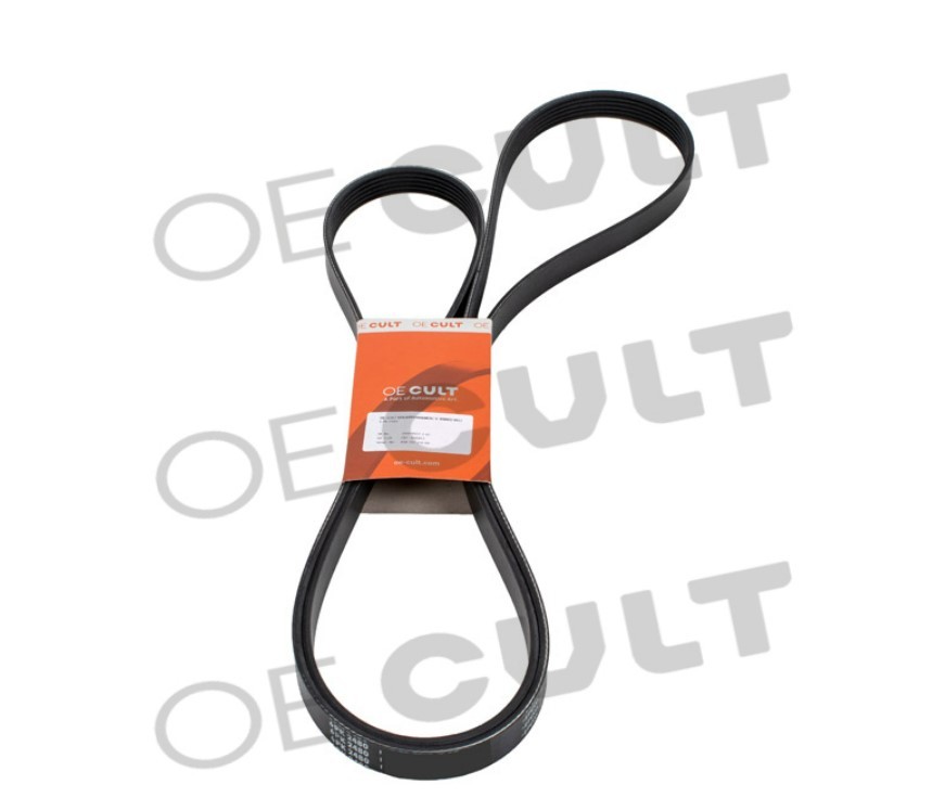 OE CULT Serpentine belt Article number: OEC-P00853 cheaply