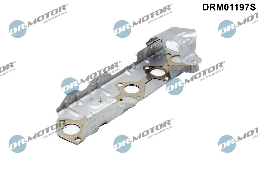 DR.MOTOR AUTOMOTIVE Exhaust manifold gasket Article number: DRM01197S cheaply