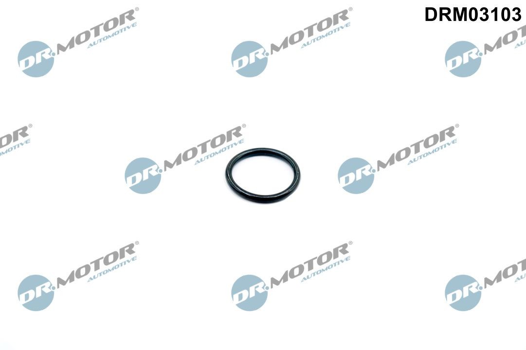 DR.MOTOR AUTOMOTIVE Thermostat housing gasket Article number: DRM03103 cheaply