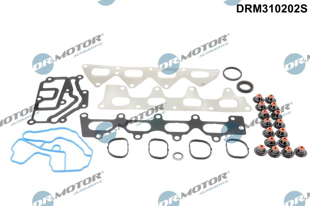 DR.MOTOR AUTOMOTIVE Tömítéskészlet, hengerfej . Cikk szám: DRM310202S olcsó