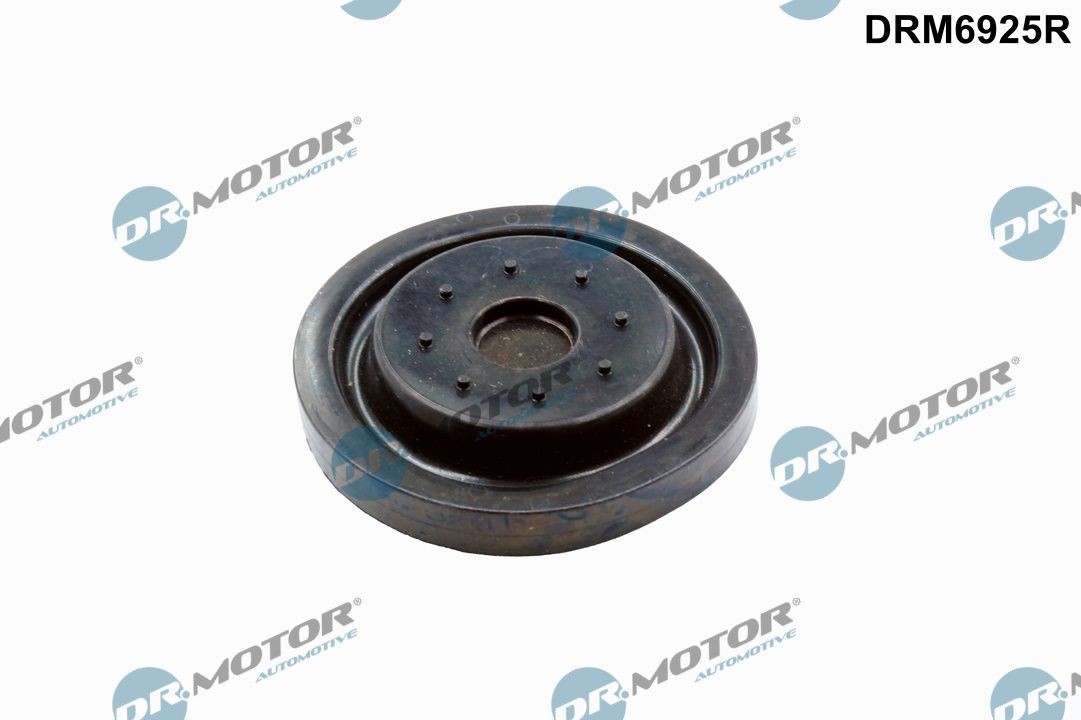 DR.MOTOR AUTOMOTIVE Rep.sæt, bundkarudluftning Varenummer: DRM6925R billige