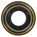 GLASER Valve stem seal Article number: P76814-00 cheaply