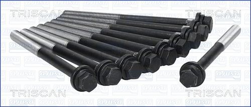 TRISCAN Bolt Kit, cylinder head Article number: 98-1902 cheaply