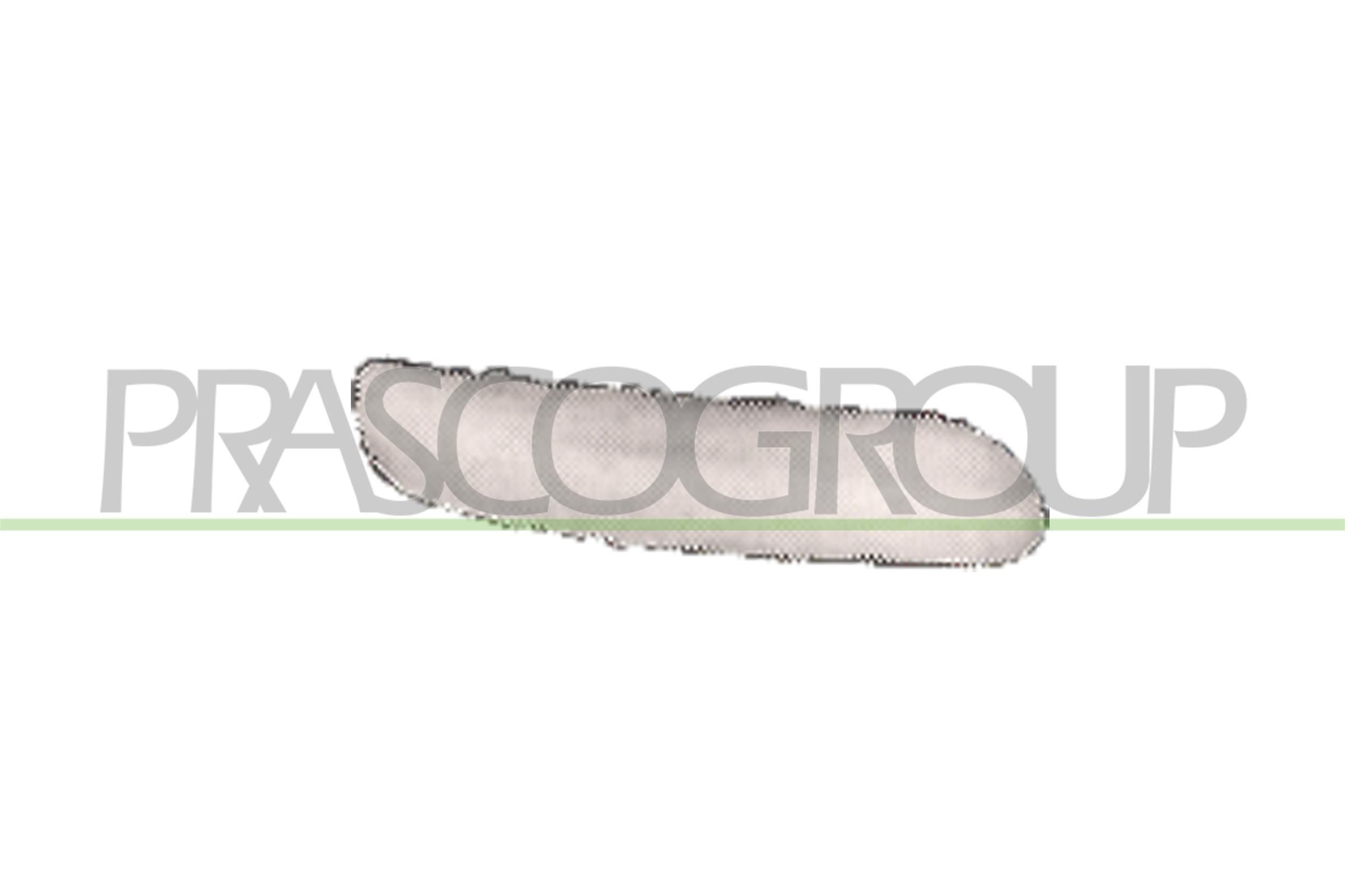 PRASCO MN3041243 Bumper moulding Hatchback 1.4 D One 75 PS Diesel 2006