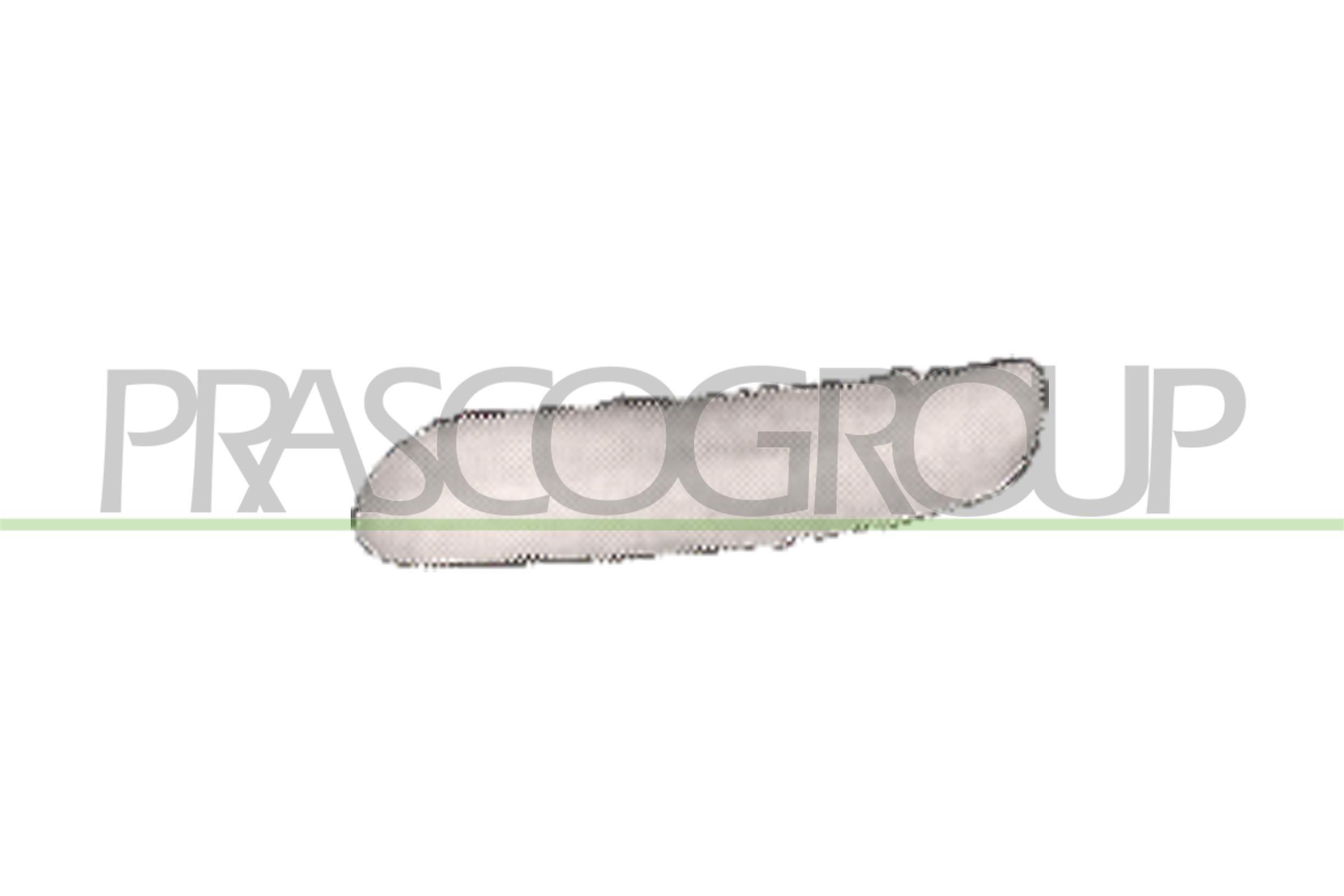 PRASCO MN3041244 Bumper moulding Hatchback 1.4 D One 75 PS Diesel 2006