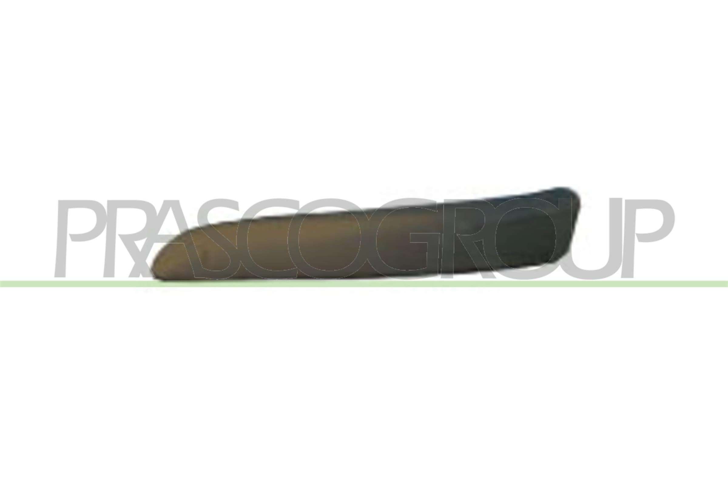 PRASCO PG4201243 Bumper moulding 307 2.0 136 PS Petrol 2009