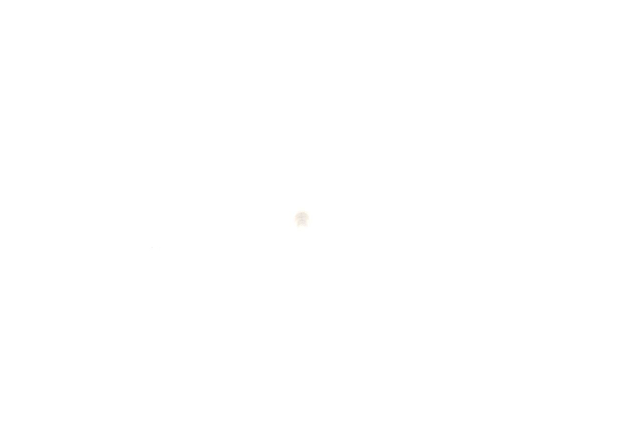 BOSCH Gasket / Seal Article number: 1 928 300 600 cheaply
