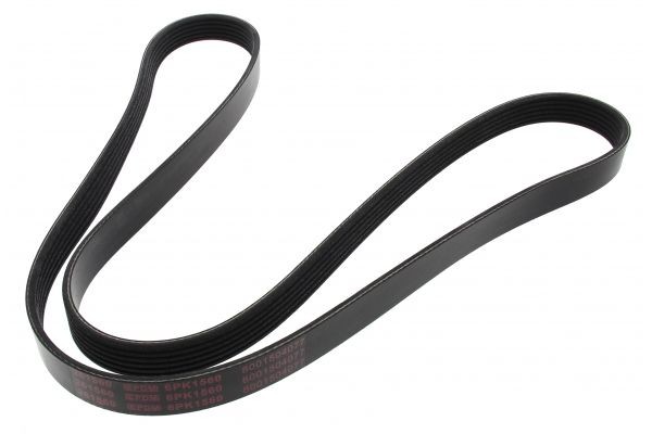 MAPCO Serpentine belt Article number: 261560 cheaply