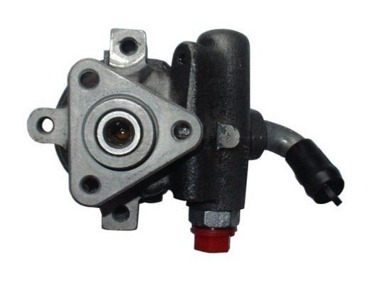 SPIDAN Power steering pump Article number: 54379 cheaply