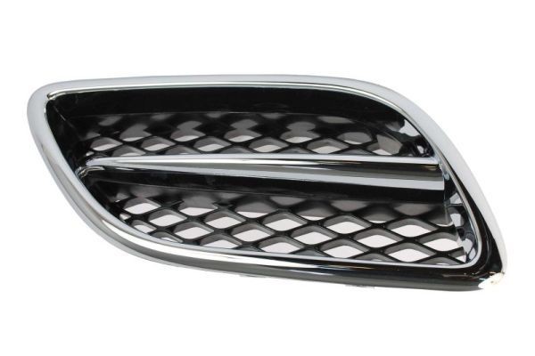 BLIC Radiator Grille Article number: 6502-07-1668996P cheaply