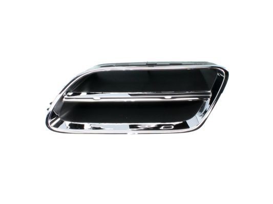 BLIC Radiator Grille Article number: 6502-07-1668991P cheaply