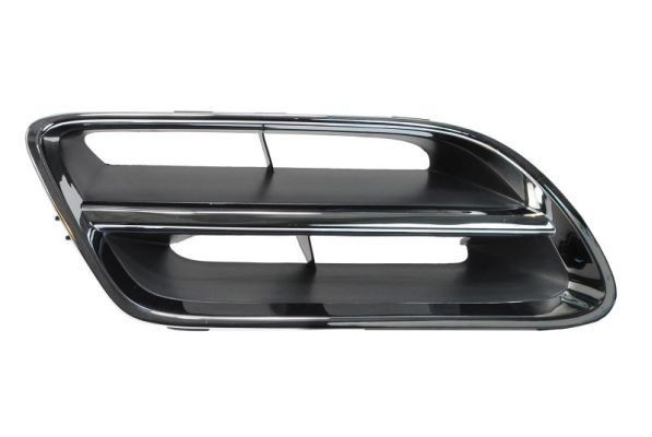BLIC Radiator Grille Article number: 6502-07-1668992P cheaply