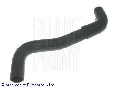 BLUE PRINT Radiator hose Article number: ADN19450 cheaply