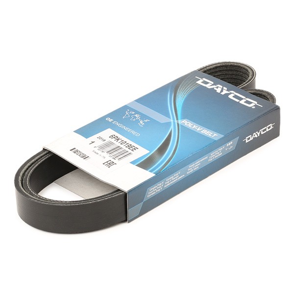DAYCO Serpentine belt Article number: 6PK1019EE cheaply