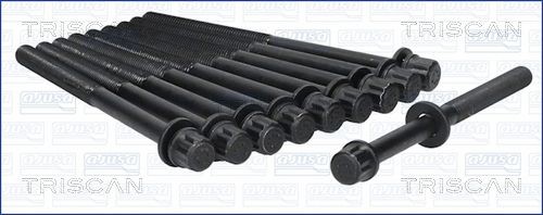 TRISCAN Bolt Kit, cylinder head Article number: 98-3001 cheaply