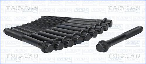TRISCAN Bolt Kit, cylinder head Article number: 98-4200 cheaply