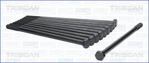 TRISCAN Bolt Kit, cylinder head Article number: 98-6007 cheaply