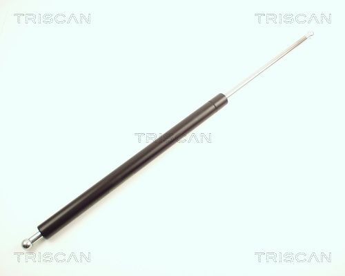 TRISCAN Piduriketas Artikli number: 8120 10102 soodsalt