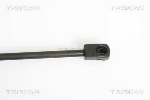 TRISCAN Brzdový kotouč Číslo článku: 8120 16101 levně