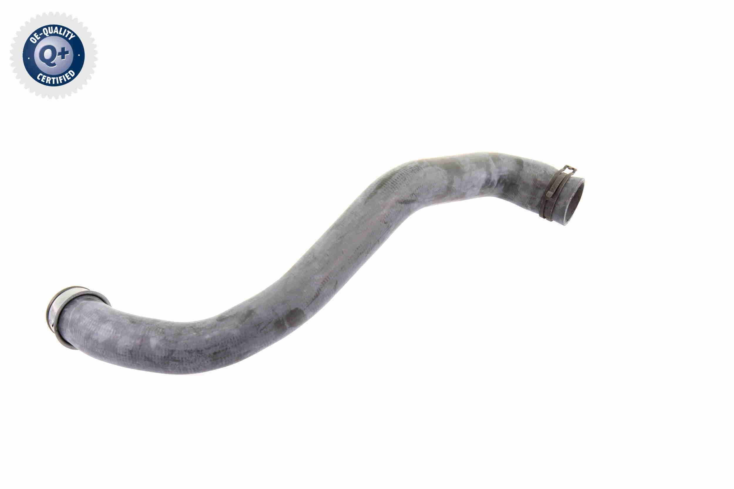 VAICO Radiator hose Article number: V30-1913 cheaply
