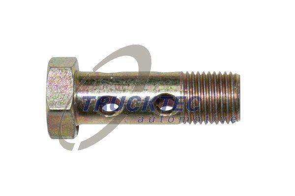TRUCKTEC AUTOMOTIVE Hulskrue Varenummer: 79.10.002 billige
