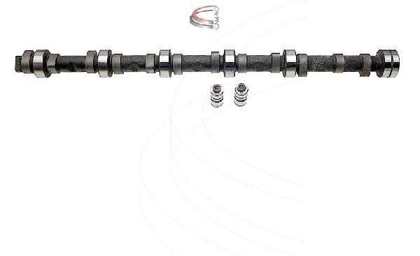 CAMPRO Camshaft Kit Article number: CP62273 cheaply