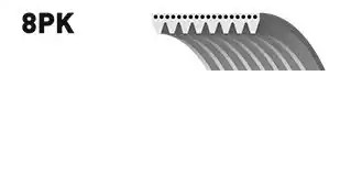 GATES Serpentine belt Article number: 8PK1289ES cheaply