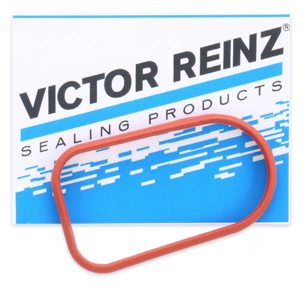 REINZ Inlet manifold gasket Article number: 71-34474-00 cheaply