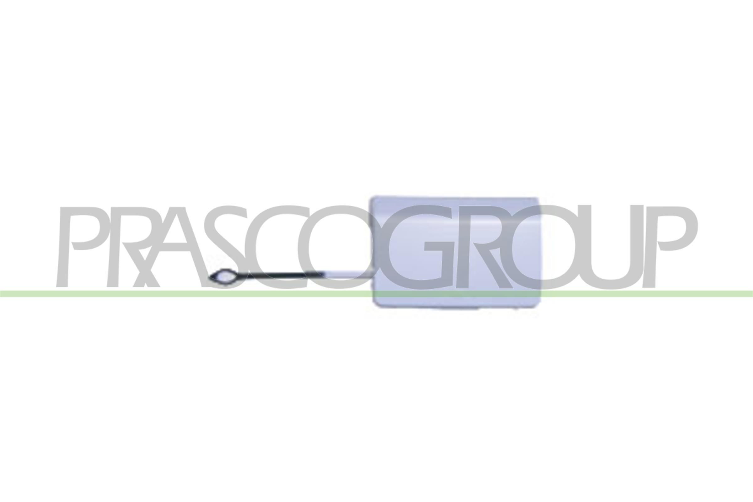 PRASCO ME0431286 Flap, tow hook E-Class E 350 CGI 3.5 (212.257) 292 PS Petrol 2016