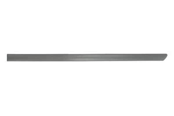 BLIC Door molding Article number: 5703-04-9504577P cheaply