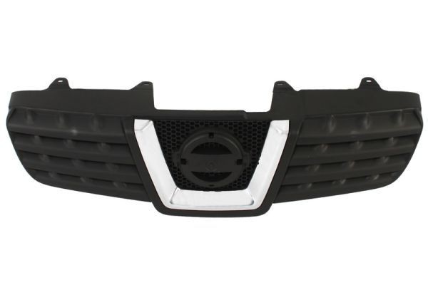 BLIC Radiator Grille Article number: 6502-07-1617990P cheaply