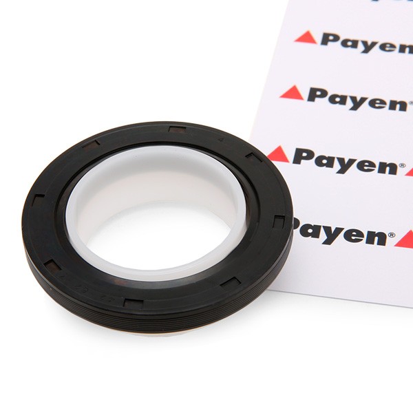 PAYEN Crankshaft seal Article number: NA5191 cheaply