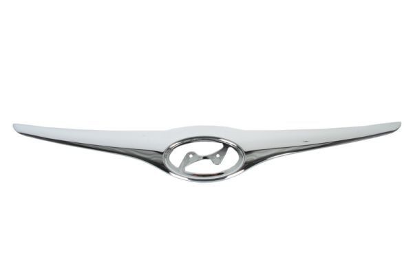 BLIC Trim / Protective Strip, radiator grille Article number: 6502-07-3135211P cheaply