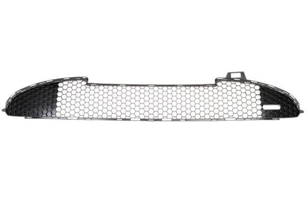 BLIC Bumper grill Article number: 6502-07-5507996P cheaply
