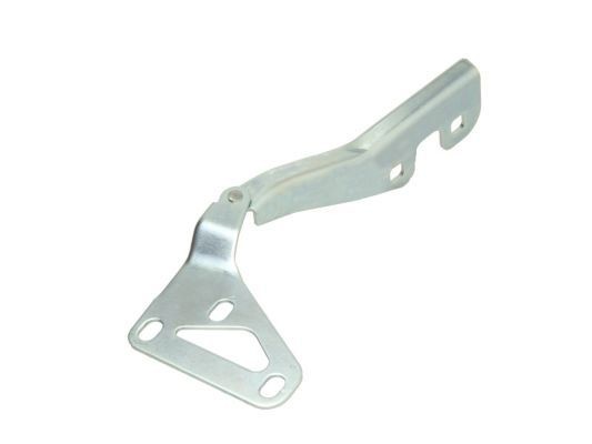 BLIC 6802-00-5052451P Hinge, bonnet ASTRA 1.7 CDTI (L08) 80 PS Diesel 2010