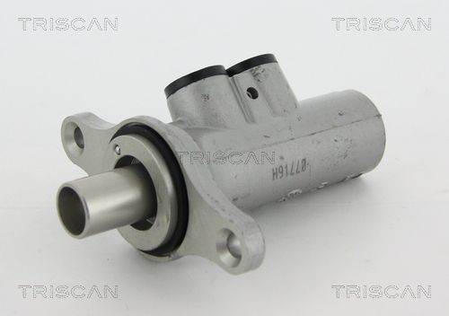 TRISCAN Peapiduri silinder Artikli number: 8130 28148 soodsalt