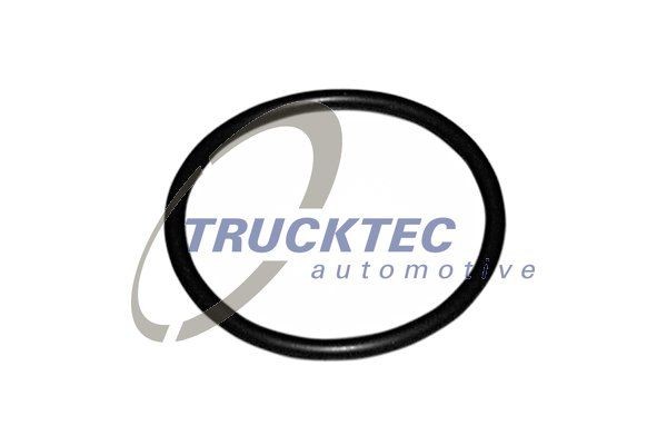 TRUCKTEC AUTOMOTIVE Gasket, thermostat Article number: 07.19.039 cheaply