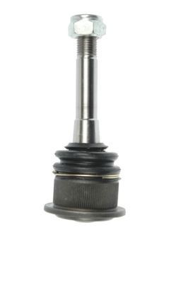 FORTUNE LINE Ball Joint Article number: FZ3181 cheaply