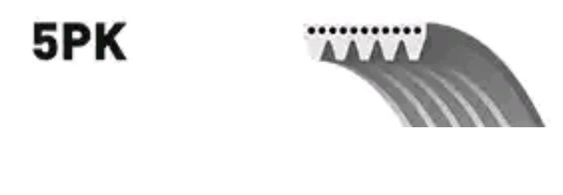 GATES Serpentine belt Article number: 5PK1023 cheaply