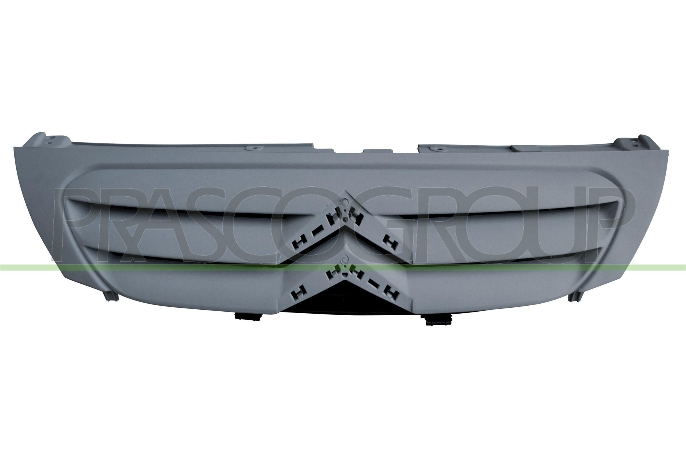 PRASCO Radiator Grille Article number: CI3222001 cheaply
