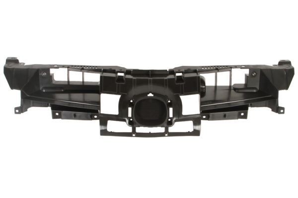 BLIC Radiator Grille Article number: 6502-07-3477990P cheaply