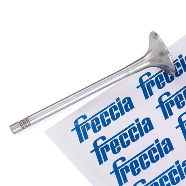 FRECCIA Exhaust valve Article number: R6727/RCR cheaply