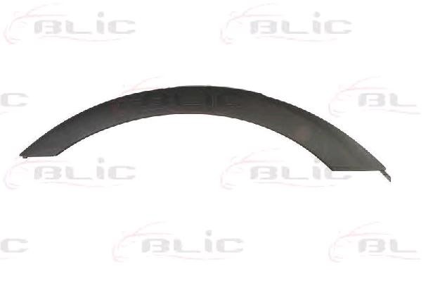 BLIC Trim / Protective Strip, mudguard Article number: 5703-04-0093596P cheaply