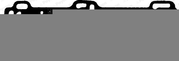 PAYEN Gasket, cylinder head Article number: BM330 cheaply
